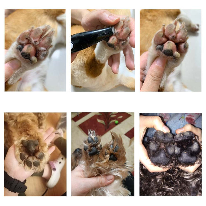 Ápoló Háziállat Szőrvágó - PawPerfect