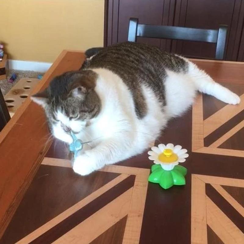 Interaktív Macskajáték - Purrfect Play