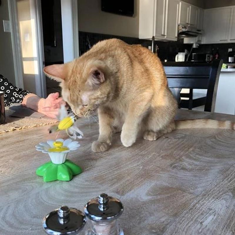 Interaktív Macskajáték - Purrfect Play