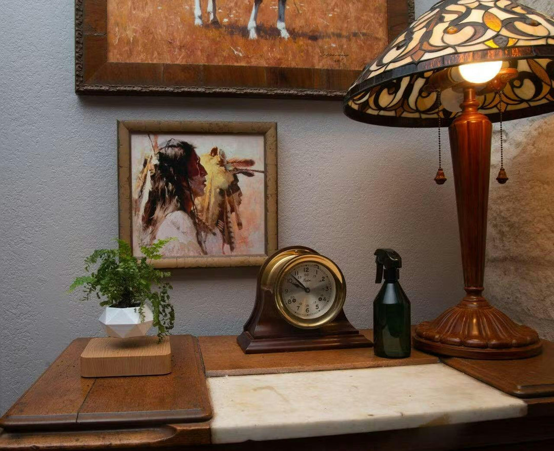 Lebegő Növénytartó Mágneses Lebegéssel - Liva