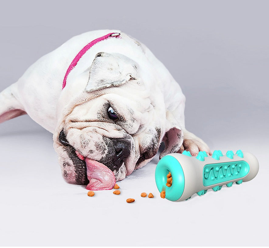 Fogkő eltávolító rágójáték kutyák számára – Chewly