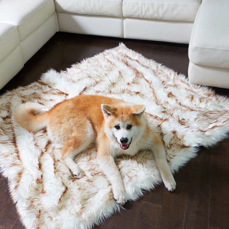 Luxus Vízálló Háziállat Párna - CozyPaw™