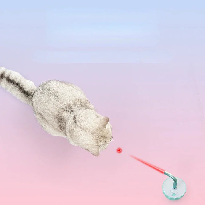 Macska játék lézerrel - LaserChase