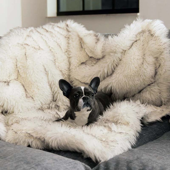 Luxus Vízálló Háziállat Párna - CozyPaw™