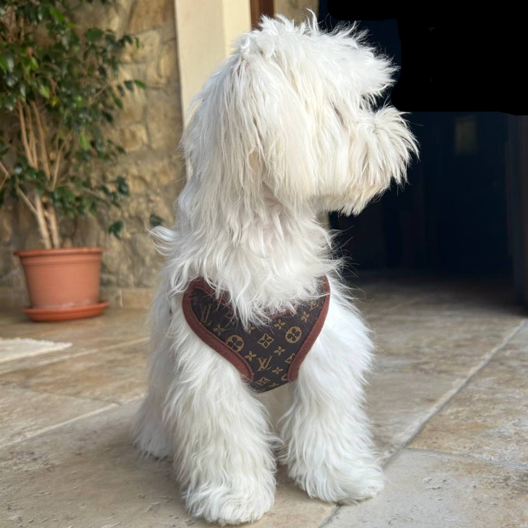 Kutyakötél és Póráz – PawLuxe