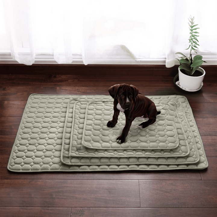 Innovatív Hűsítőmatrac Kutyáknak (4x Hűtőteljesítmény) - ChillComfort