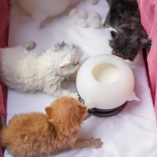 Kompakt Tejütő Kiscicák számára - KittySip
