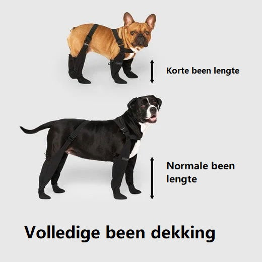 Csizma a Biztonságos Kültéri Kalandokhoz - PawShield