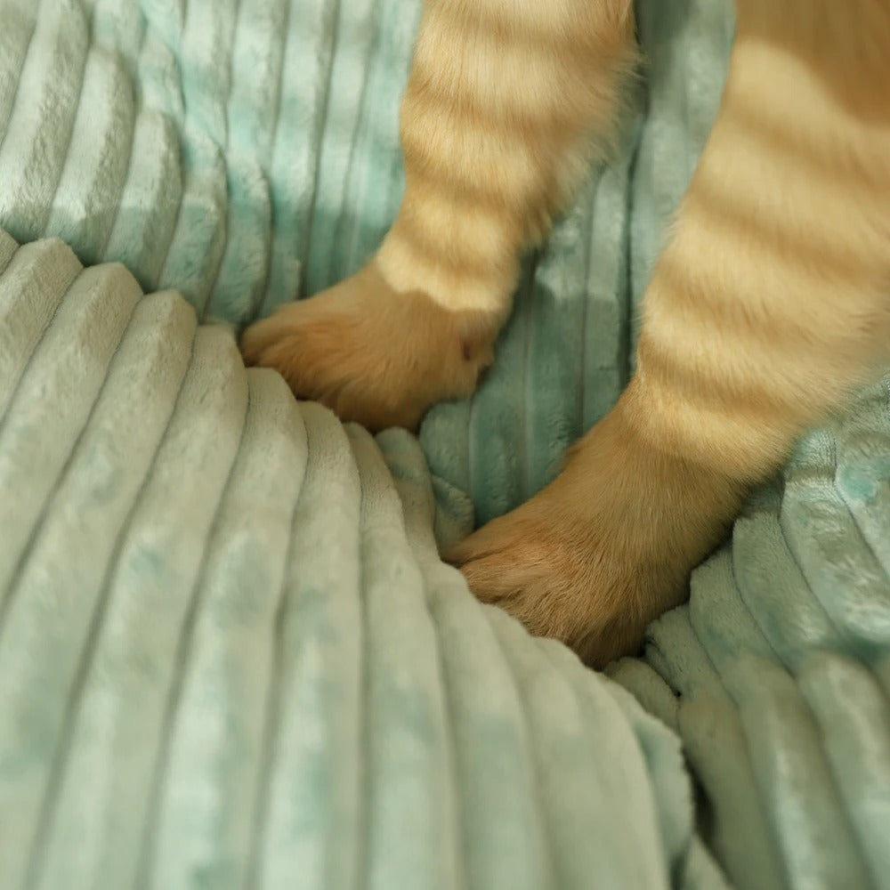 Orthopédiai Kutyapárna Levehető Huzattal - SnuggleRest