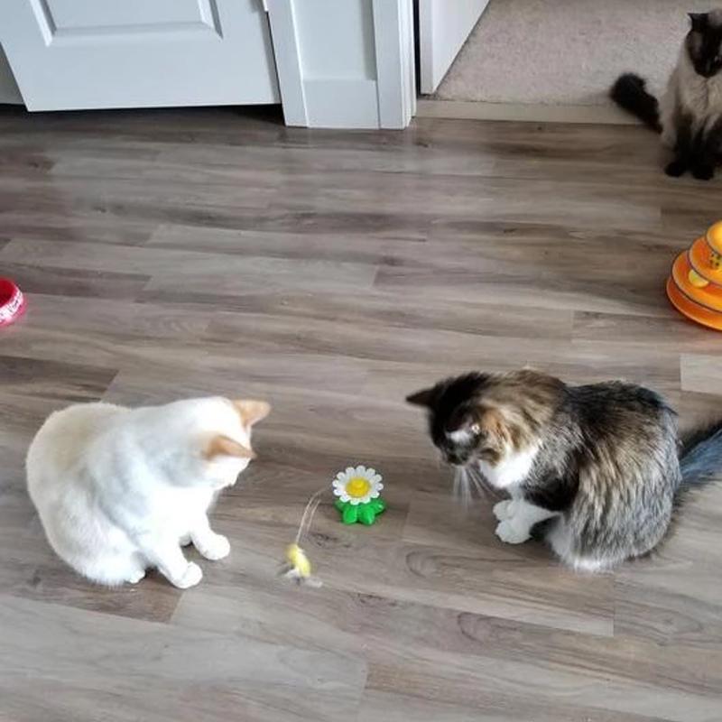 Interaktív Macskajáték - Purrfect Play