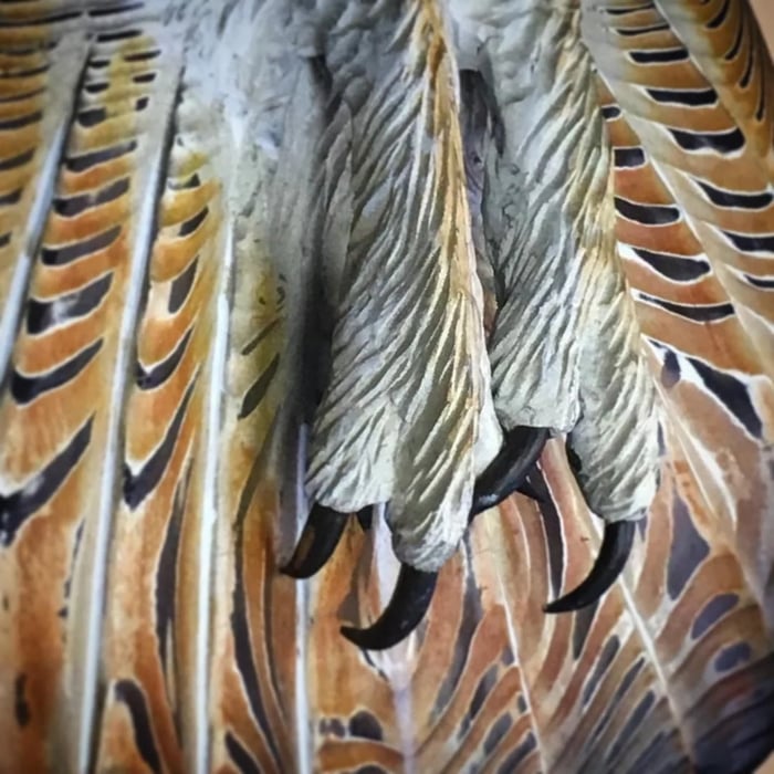 Fából készült falidísz – Bagoly “Majestic”