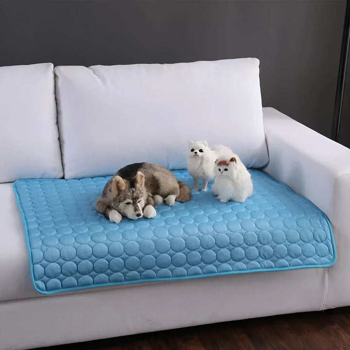 Házikedvenc Hűtőlap - ChillMate