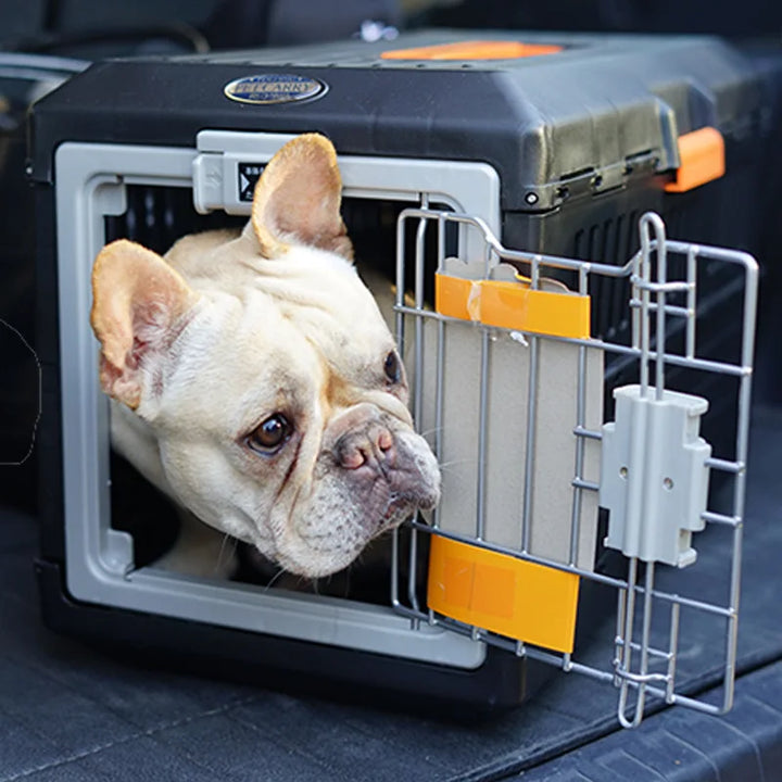 Hajtható Utazási Kosár Kutyák és Macskák Számára - PetVoyager
