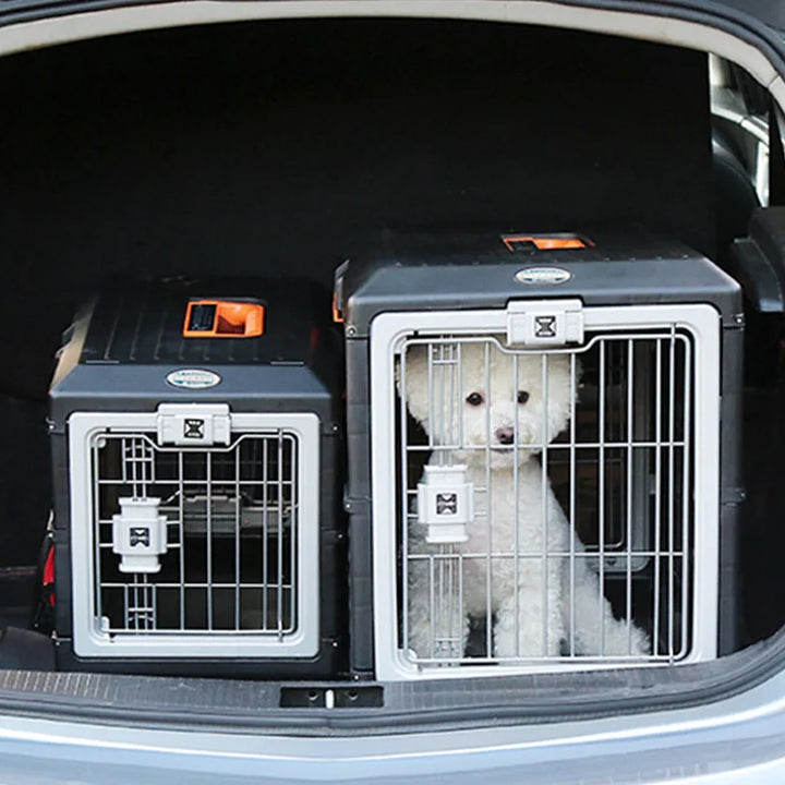 Hajtható Utazási Kosár Kutyák és Macskák Számára - PetVoyager