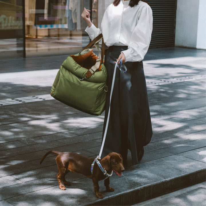 Kényelmes Autósülés Kutyáknak - PawLuxury