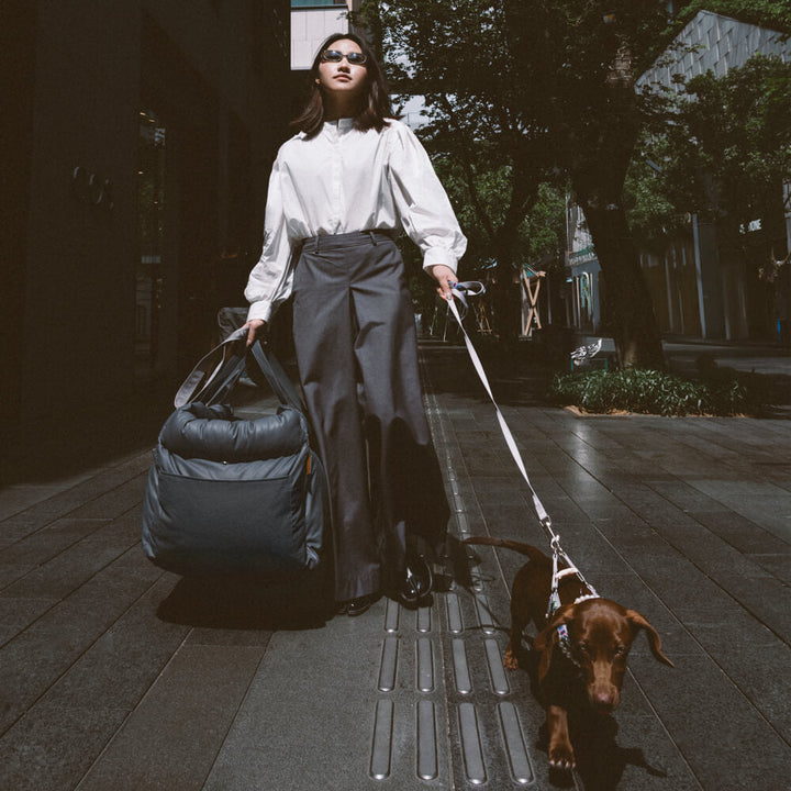 Kényelmes Autósülés Kutyáknak - PawLuxury