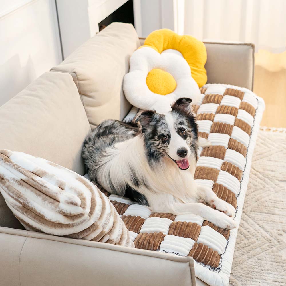 Puha Háziállat Párna - CozyCover