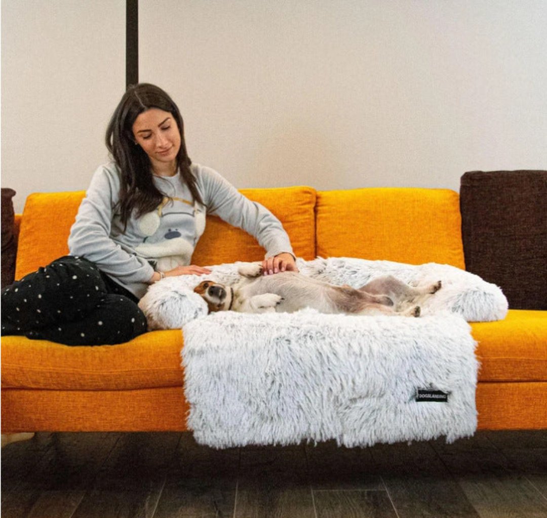 Luxus Kutyafotel Ágy - PawLounge