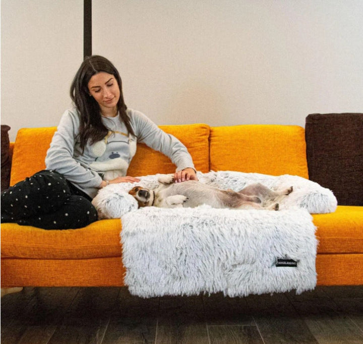 Luxus Kutyafotel Ágy - PawLounge
