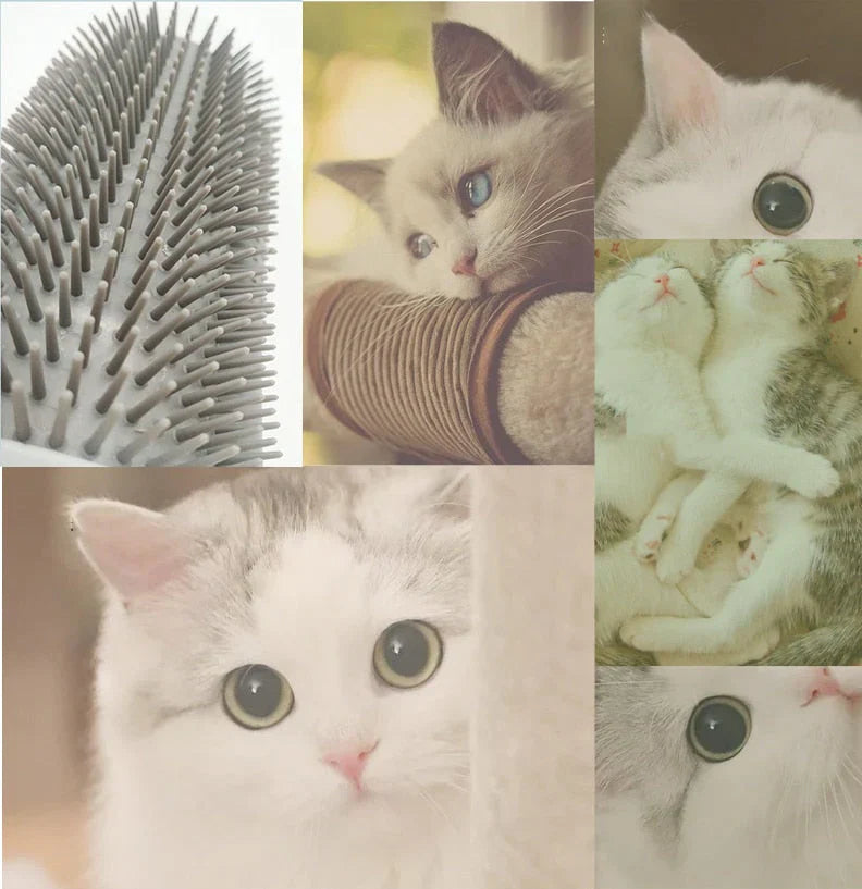 Macska Sarokkefe Az Öngondoskodáshoz - PurrGroom