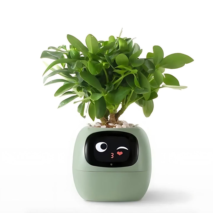 Automatikus okos virágcserép - GreenBuddy SmartPot