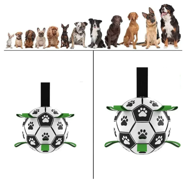 Fenntartható Kutyafoci Fogantyúkkal – TugBounce