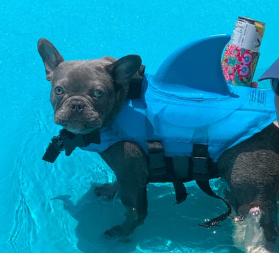 Kutyamentő Mellény - AquaPup