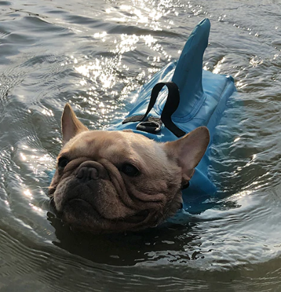 Kutyamentő Mellény - AquaPup