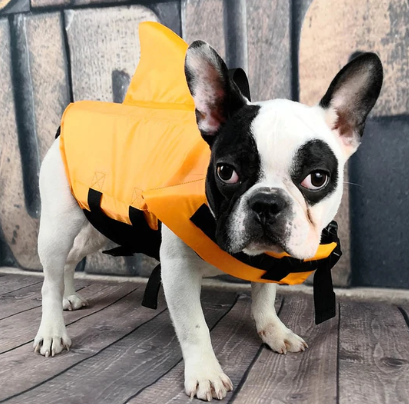 Kutyamentő Mellény - AquaPup