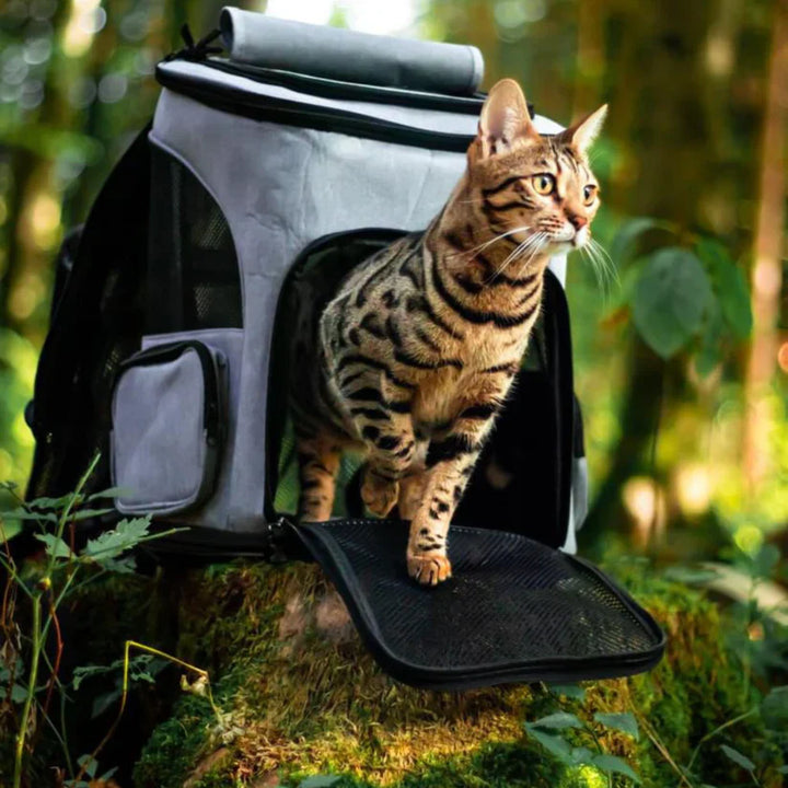 Macskakabát - PurrPack™