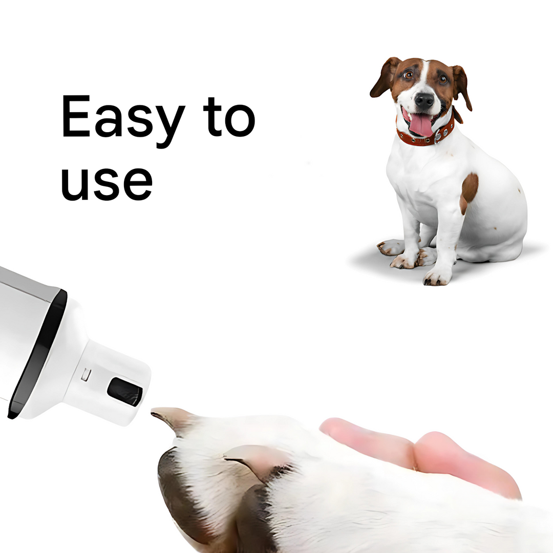 Elektronikus Kutyakörömvágó – PawTrim