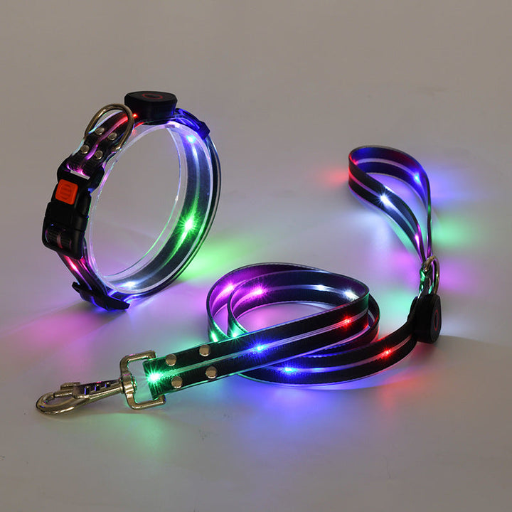 Világító LED Kutyanyakörv Pórázzal - NightBright