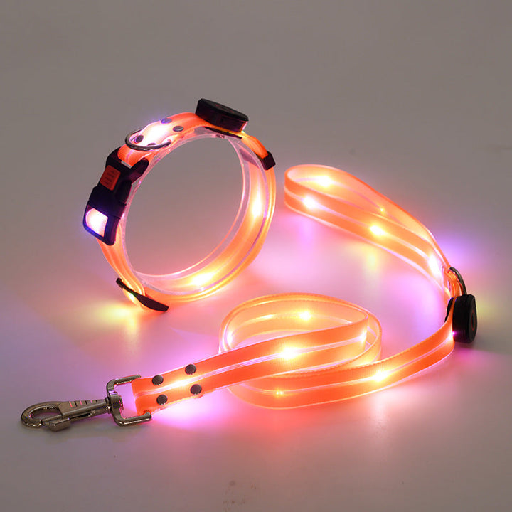 Világító LED Kutyanyakörv Pórázzal - NightBright