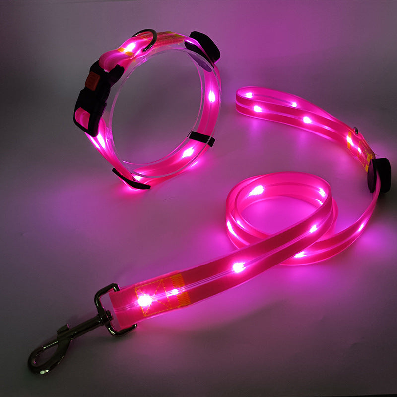 Világító LED Kutyanyakörv Pórázzal - NightBright