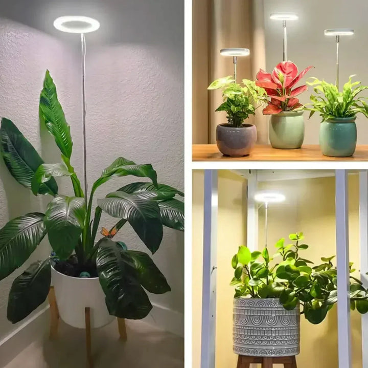 Teljes spektrumú LED növénynevelő lámpa másik nézet, növények fölött.