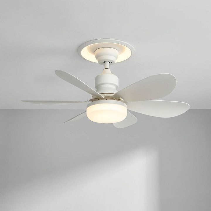 Remote Controlled Ceiling Fixture - SkyeLight