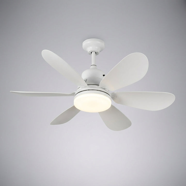 Remote Controlled Ceiling Fixture - SkyeLight