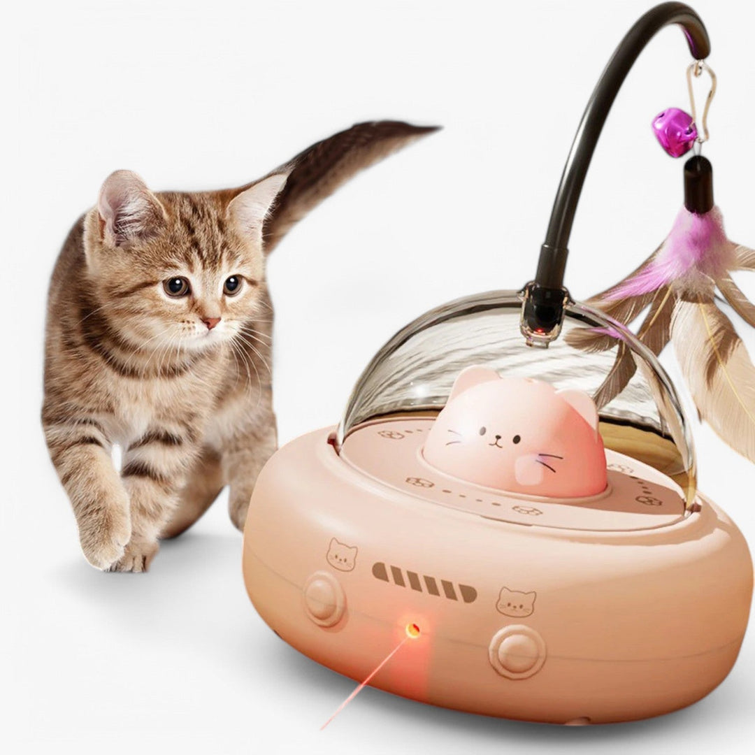 Súlyos lézer macska játék szivárvány fényben – Nola