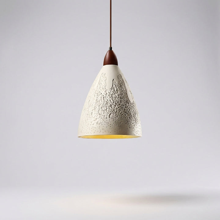 Single Bulb Decorative Pendant - Brightra