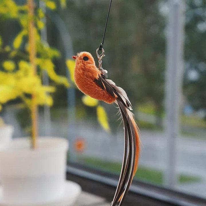 Interaktív macskajáték - FlutterBarát