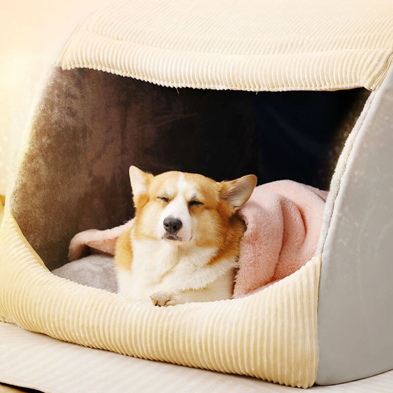 Kényelmes Kutyatáborágy - CozyCave