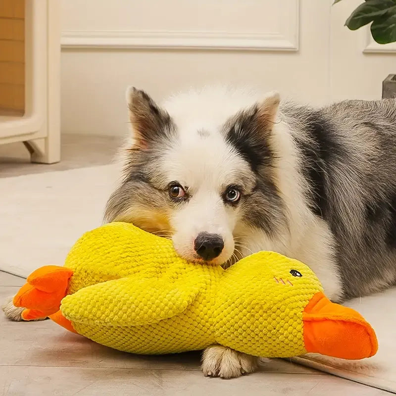 Interaktív kutyajáték hanggal és fogtisztítással - FlappyDuck
