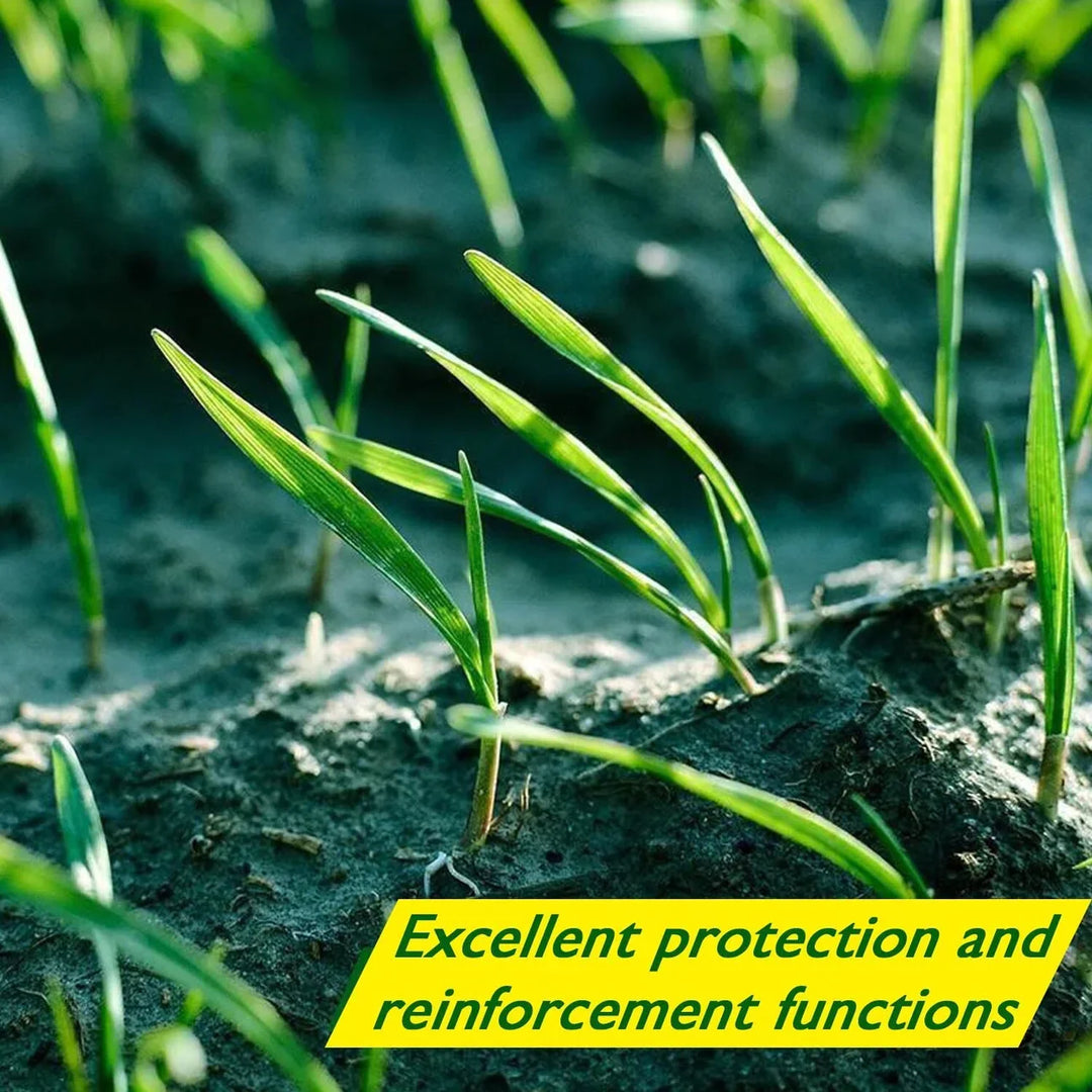 Biológiai úton lebomló fűmag szőnyeg - Verdi