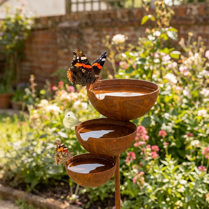 Pillangók ülnek a rozsdás, vízzel teli tálak szélén, háttérben téglafal és virágzó bokrok 6