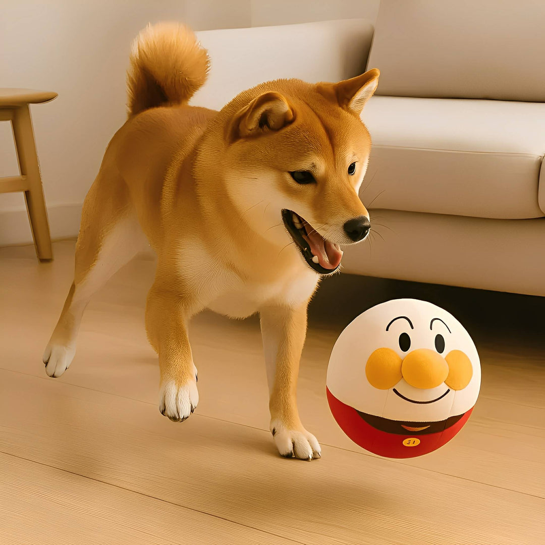 Shiba inu kutya játszik a lakásban egy mosolygó arcú, kerek plüssjátékkal a parkettán.