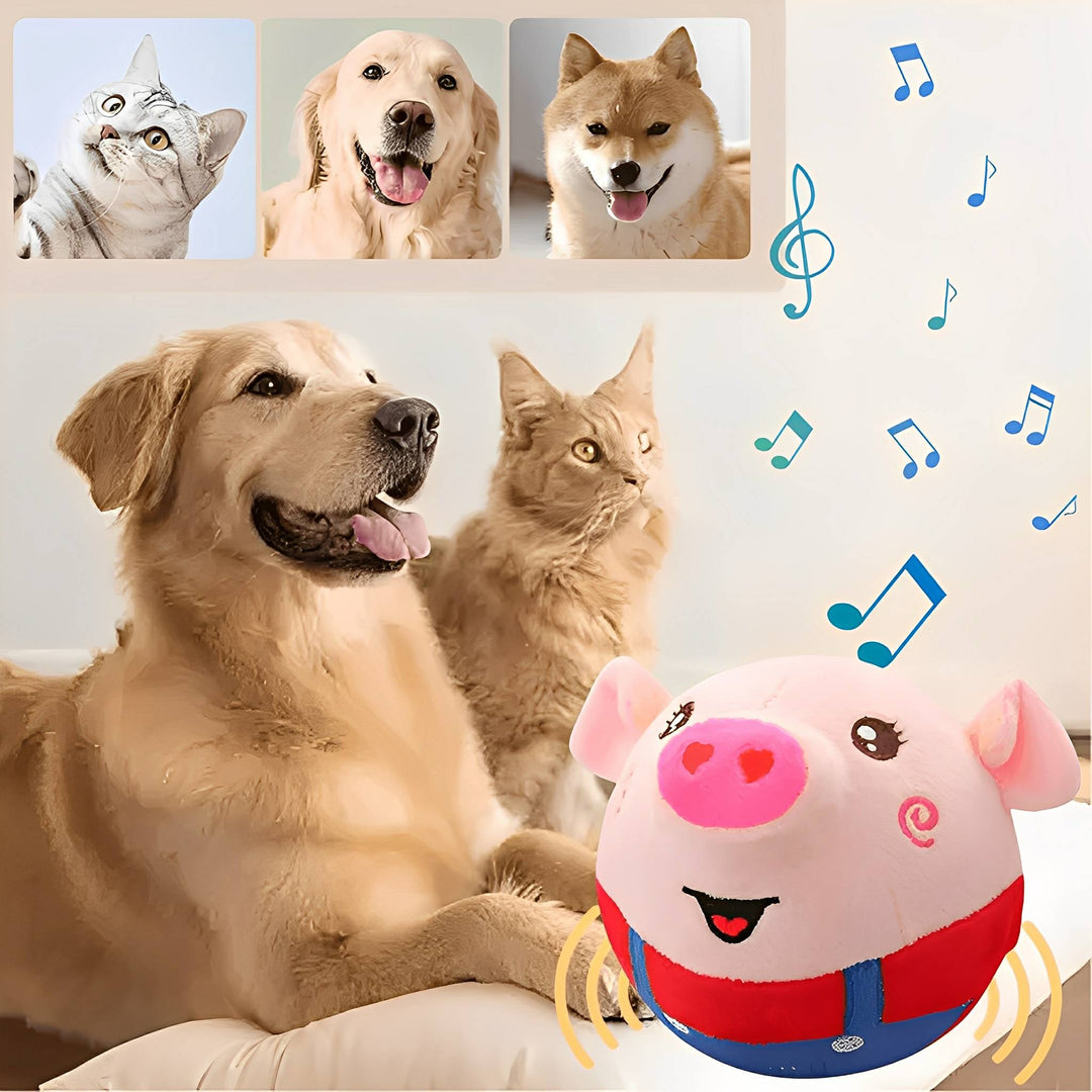 Zenét játszó malacos plüsslabda mellett egy golden retriever és egy macska, felül három kisállat-portré.