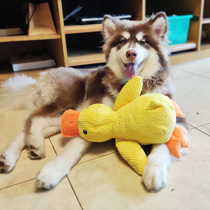 Interaktív kutyajáték hanggal és fogtisztítással - FlappyDuck