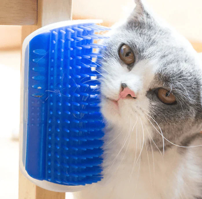 Macska Sarokkefe Az Öngondoskodáshoz - PurrGroom