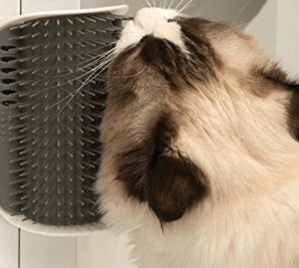 Macska Sarokkefe Az Öngondoskodáshoz - PurrGroom