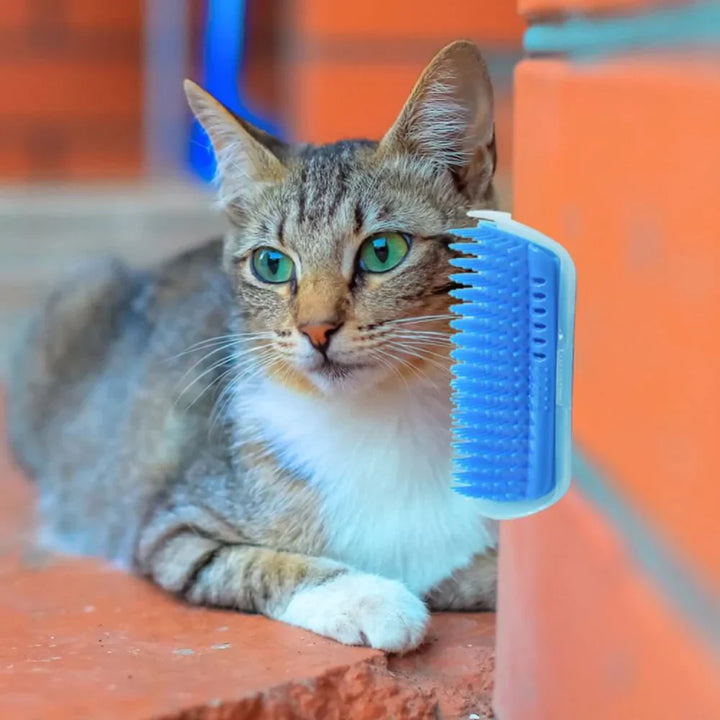 Macska Sarokkefe Az Öngondoskodáshoz - PurrGroom